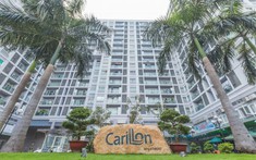 Giá căn hộ liệu có giảm như dự báo?