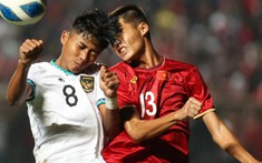 Hạ Việt Nam, fan Indonesia tung hô