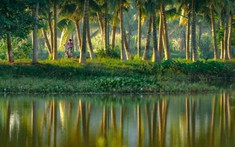 Nơi tìm lại tuổi thơ cho trẻ em phố thị