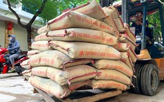 Thủ tướng yêu cầu kiểm soát giá vật liệu xây dựng sau khi xăng dầu giảm mạnh