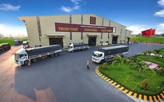 Tiếp nối vua thép, ông vua tôn mạ báo lãi giảm sâu tới 84%