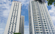 Thị trường bất động sản Bình Dương “lên ngôi”