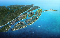 Phó Thủ tướng yêu cầu hoàn thiện dự thảo Nghị định quy định lấn biển