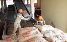 4 dây chuyền sản xuất xi măng mới sắp chạy lò trong năm 2022