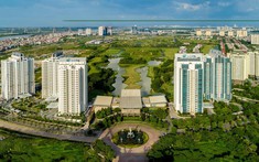 31 Tổ chức quản lý, kinh doanh nhà tại địa phương đang quản lý 87.664 cơ sở nhà, đất thuộc sở hữu nhà nước