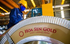 Gần 100 triệu cổ phiếu của Hoa Sen sẽ về tay cổ đông từ ngày 15/9