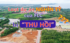 Số phận hàng loạt dự án nghìn tỷ của Tập đoàn FLC sẽ ra sao?