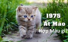 Màu sắc nội thất hợp phong thủy cho gia chủ tuổi Mão