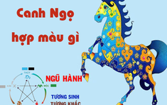 Chọn màu nội thất nhà hợp phong thủy cho gia chủ tuổi Ngọ