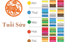 Tuổi Sửu hợp màu gì? Màu nội thất nhà hợp phong thủy