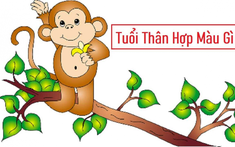 Chọn màu sắc nội thất nhà hợp phong thủy cho gia chủ tuổi Thân