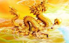Tuổi Thìn hợp màu gì? Chọn màu nội thất hợp phong thủy cho gia chủ tuổi Thìn