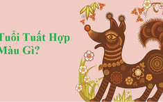 Tuổi Tuất hợp màu gì? Chọn màu nội thất nhà hợp phong thủy