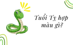 Tuổi Tỵ hợp màu gì? Màu sắc nội thất hợp phong thủy cho gia chủ tuổi Tỵ