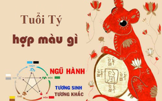 Tuổi Tý hợp màu gì? Chọn màu nội thất nhà ở phù hợp