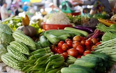 Vì đâu giá xăng giảm nhưng giá hàng tiêu dùng, vận tải vẫn “dậm chân tại chỗ”
