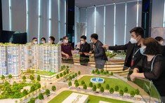 TP.HCM: Nhiều Dự Án Mới Mở Bán Tại Khu Nam Giải "Cơn Khát" Căn Hộ Vừa Túi Tiền