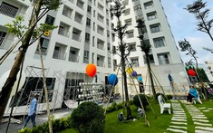 “Sống Xanh” Tiên Phong Trở Thành Xu Hướng Tại Các Đô Thị Hiện Nay