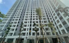 Iris Tower Tiên Phong" Sống Xanh" Trở Thành Xu Hướng Tại Các Đô Thị Hiện Nay
