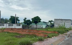 Đất Nền Vùng Ven TP.HCM: Nhu Cầu Tăng Nhưng Ít Giao Dịch Thực