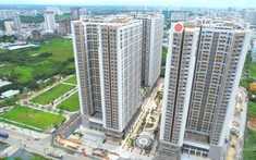Tổng Hợp Chung Cư Đường Đào Trí Quận 7