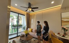 Nhu Cầu Thuê Chung Cư Nhà Trọ Tăng Nhưng Lượng Sản Phẩm Rao Thuê Giảm