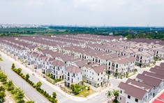 Tín Dụng Khai Thông, Thị Trường Bđs Được Thanh Lọc Và Sôi Động Trở Lại