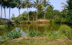 Quy định liên quan đến mục đích sử dụng đất