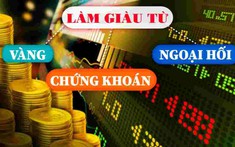 ​​​​​​​Làm giàu từ chứng khoán, vàng, ngoại hối