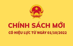 Chính sách về tiền lương, bảo hiểm có có hiệu lực từ tháng 10