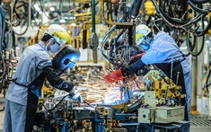 8 tháng đầu năm, doanh nghiệp FDI chiếm gần 70% giá trị xuất nhập khẩu Việt Nam