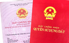 Chính sách bất động sản nổi bật có hiệu lực từ tháng 9/2022
