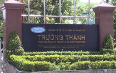 Gỗ Trường Thành bị xử phạt vi phạm hành chính 150 triệu đồng