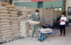 Tiêu thụ vật liệu xây dựng sẽ phục hồi mạnh vào cuối năm