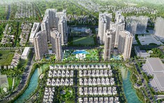 The Ocean View: Dự án phân khu tại Vinhomes Ocean Park