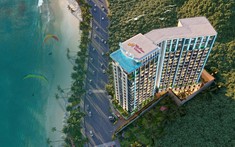 Oyster Bay Vũng Tàu: Dự án căn hộ tại Bà Rịa - Vũng Tàu