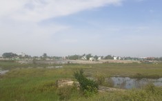 Bộ Kế hoạch và Đầu tư nói gì về đề xuất chuyển đất trồng lúa hiệu quả thấp sang làm sân golf?