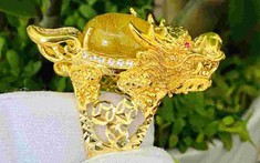 Ý nghĩa của nhẫn long quy