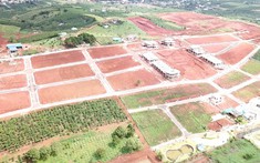 Giao dịch đất nền tại Lâm Đồng đang diễn biến ra sao?