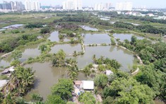 Quốc Cường Gia Lai muốn bán hết cổ phần tại công ty bất động sản mới thành lập