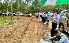 Giữa lúc thị trường “chật vật” lại diễn ra cảnh giành giật chốt cọc mua đất, tin được không?