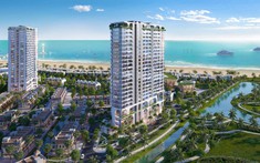 Tiềm Lực Tài Chính Lành Mạnh Của In Hòa Phát HTP Với Quỹ Tài Sản Giá Trị Khi Lấn Sân Sang Thị Trường Bất Động Sản
