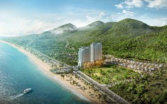 Biển Long Hải - Nàng Gypsy Của Du Lịch Vũng Tàu