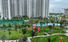 Thuê Chung Cư Giá 4 Triệu TPHCM: Tìm Ở Dự Án Nào?