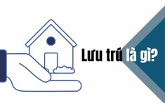 Lưu Trú Là Gì? Thủ Tục Lưu Trú Như Thế Nào?