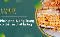 Đông trùng hạ thảo là gì? LamDepStore.vn phân phối Đông trùng có thật sự chất lượng