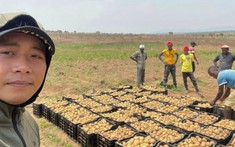 Thu hoạch được 700kg khoai tây, Quang Linh vlogs không bán mà đem tặng hết cho bà con ở các bản làng