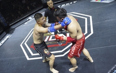 'Fan cuồng Ronaldo' đi đánh MMA Việt Nam và cái kết đắng ngắt