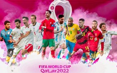 Ai đã ủng hộ 100 tỷ đồng để VTV đưa World Cup 2022 về Việt Nam?