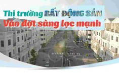 Thị trường bất động sản vào đợt sàng lọc mạnh